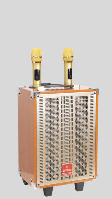 loa kéo Ontekco 8002 – Âm thanh mạnh mẽ, tiện lợi tối đa