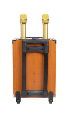 Loa kéo di động được săn lùng tại Việt Nam– Loa Ontekco 8002 3 DSC05956