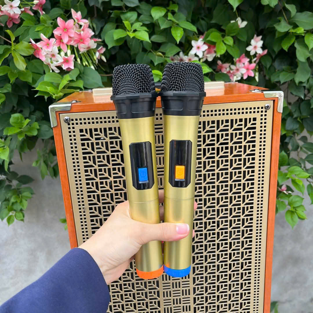 ✅ Hãng loa kéo Việt Nam – Ontekco ra mắt loa kéo 8002S bass 20 chào hè siêu ưu đãi 1 z6670845407640 5c17dc6921337a90c4c278421dd3fc78