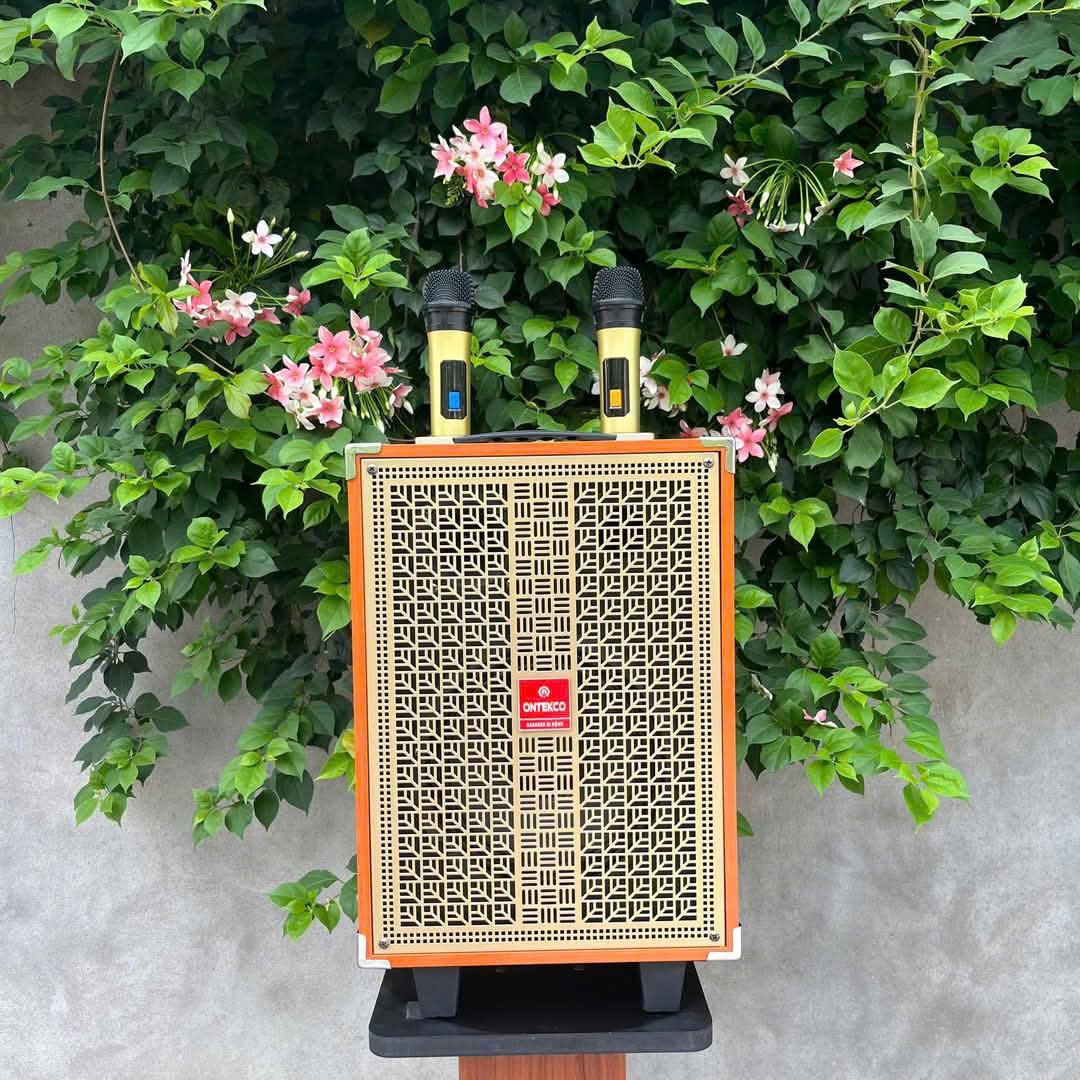 ✅ Hãng loa kéo Việt Nam – Ontekco ra mắt loa kéo 8002S bass 20 chào hè siêu ưu đãi 3 z6670845414891 5d36431913e00463475a42681d9bf390