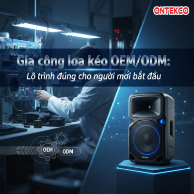 gia cong loa keo thao yeu cau 1